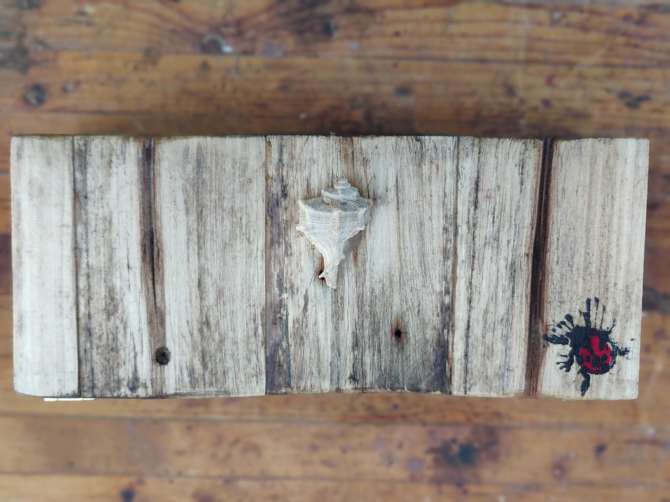 Found driftwood with shell and printed mark